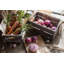 Caisse rectangulaire en bois massif antique