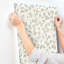 Papier peint Haube sauge-865858852