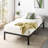 Wachapreague 14'' Heavy Duty Steel Bed Frame-3072670