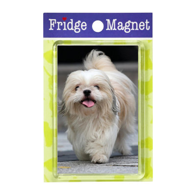 Fridge Magnet