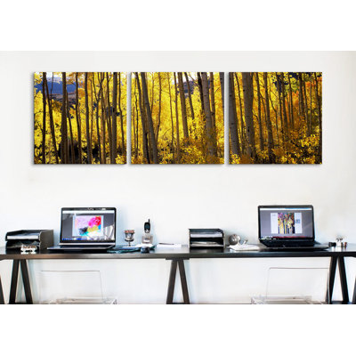 " Aspen Trees In Autumn, Colorado, USA " by Panoramic Images