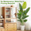 Rontez Faux Plant-2043113624