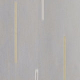 Caitlyn Fabric