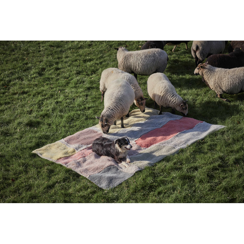 Donna Wilson Hand Tufted Wool Geometric Area Rug in Natural/Spiced Coral/Dusty Pink/Sunlight/Sage/Smoke Blue/Sandstone