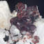 Spessertine, tourmaline noire et quartz sur albite - Shigar, Pakistan
