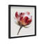 Crimson Core II Framed Graphic Art-1230489642-1190820731