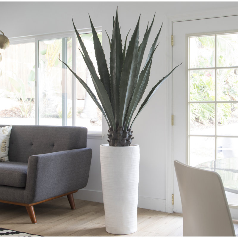 Agave d'intérieur / extérieur Panama Bannister, H 72 po x l 36 po x P 36 po, Vert foncé