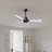 Alessandra 42'' Ceiling Fan-1421734444-1421734360