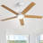 Julicia 52'' Ceiling Fan with LED Lights and Wall Switch-363906768