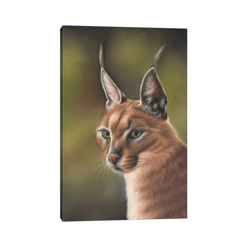Caracal by Richard Macwee - Wrapped Canvas Gallery-Wrapped Canvas Giclée, 20.32 cm H x 30.48 cm W