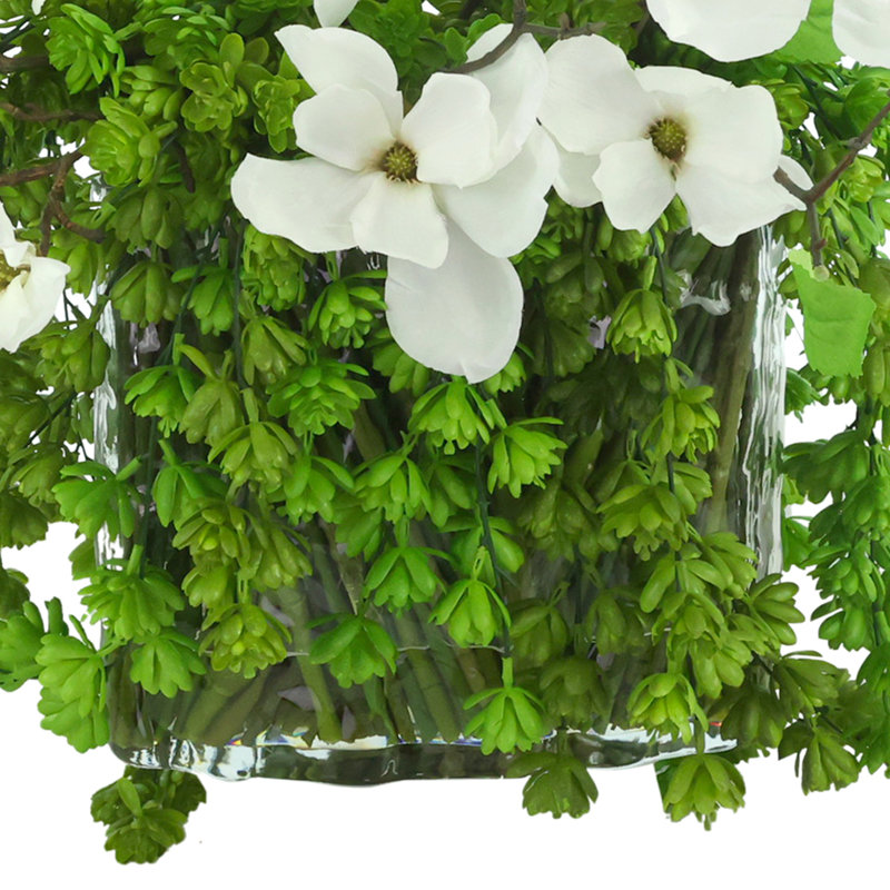 Magnolias and Succulents Arranged in Glass Vase
