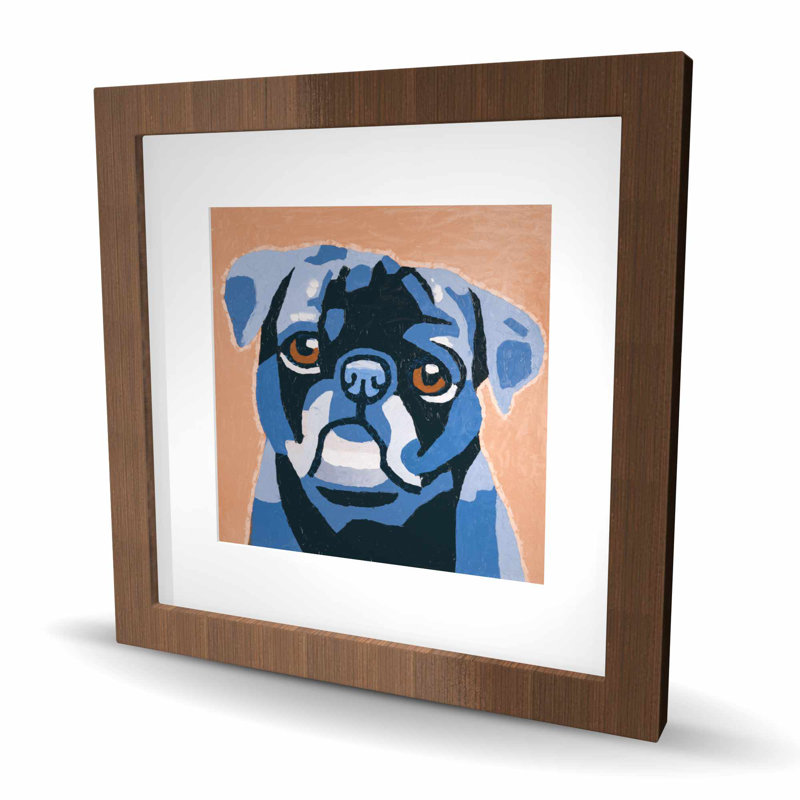 Flash the carlin - Animaux de compagnie contemporains