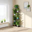 Plant Stand-1982208682