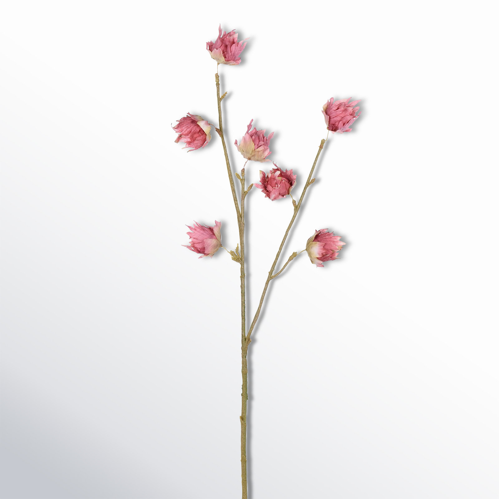 Hibiscus Floral Stems, Mauve