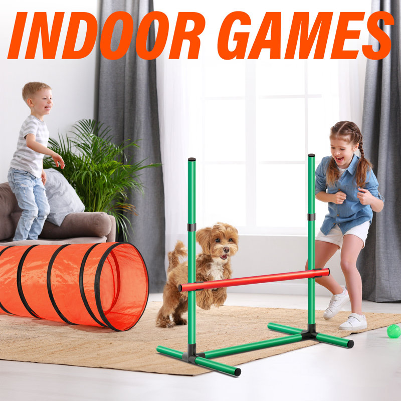 Orange and Green Dog Agility Training Set with Tunnel and Hurdles