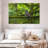 Brampt Mossy Tree Owl-108692412