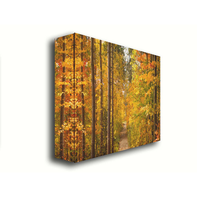 Promenade d'automne par Hal Halli. Impression sur papier - Monté et encadré, taille de l'image - 36 x 48, H 34 po x l 44 po