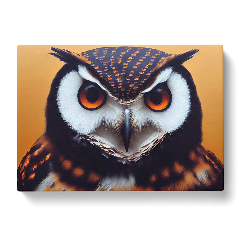 The Epic Owl - Wrapped Canvas, 50cm H x 76cm W x 3cm D
