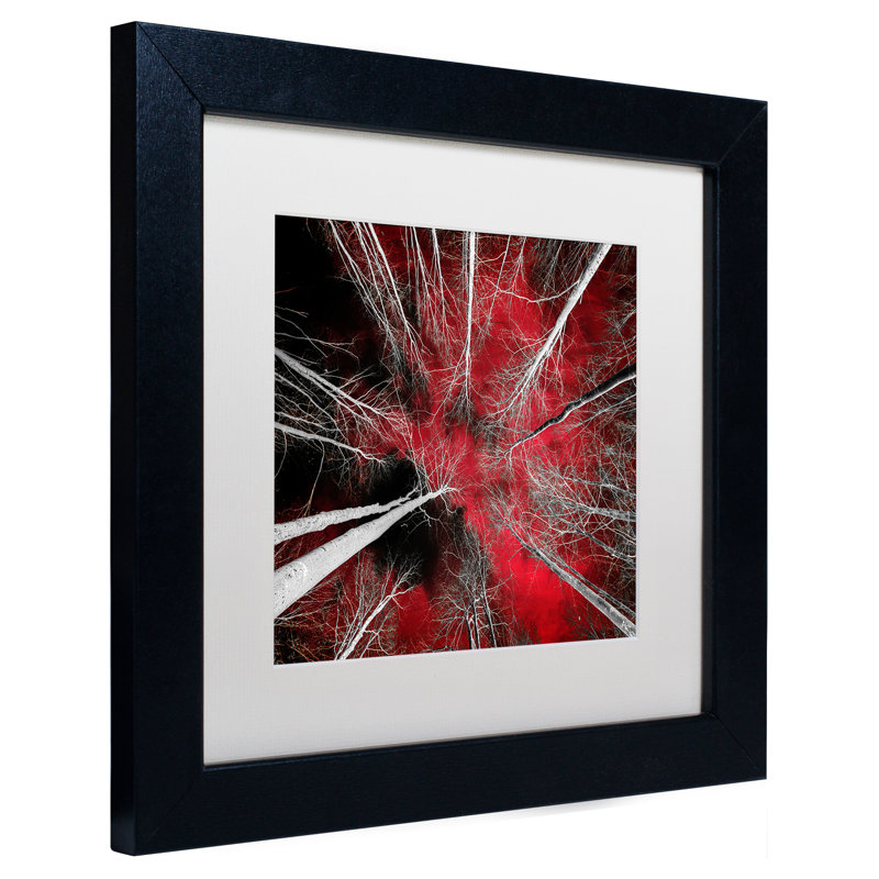 «Fadel I Can Believe It» par Philippe Sainte-Laudy, reproduction de photo encadrée, Blanc, H 11 po x l 14 po x P 0,5 po