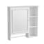 Armoire à pharmacie murale avec porte miroir, tablettes réglables et rangement ouvert | Idée de cadeau-696218378
