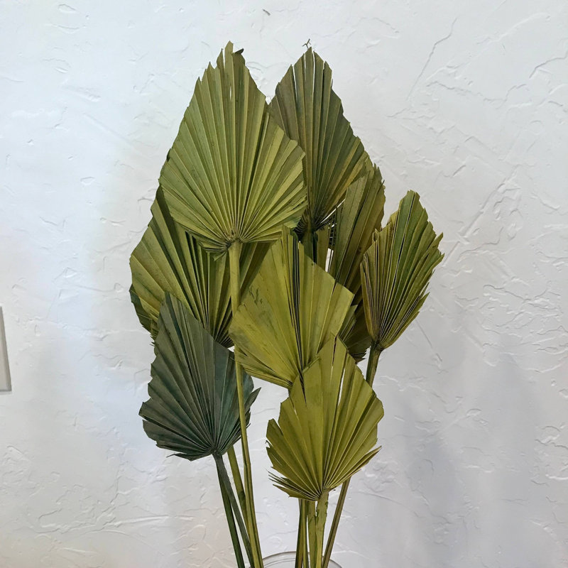 Paquet de quatre tiges de palmier Fredela, Vert lime