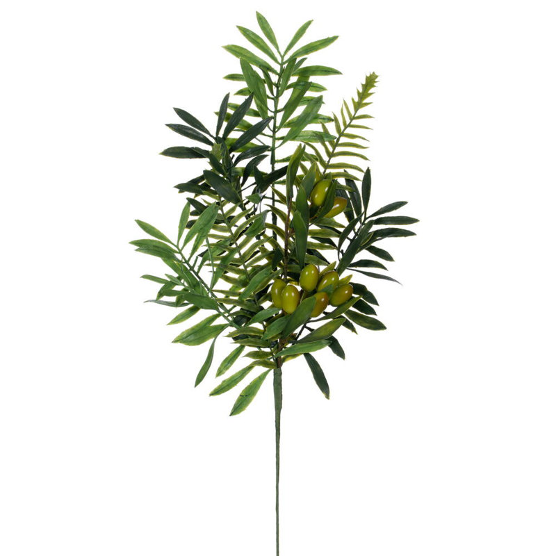 20,5 plante