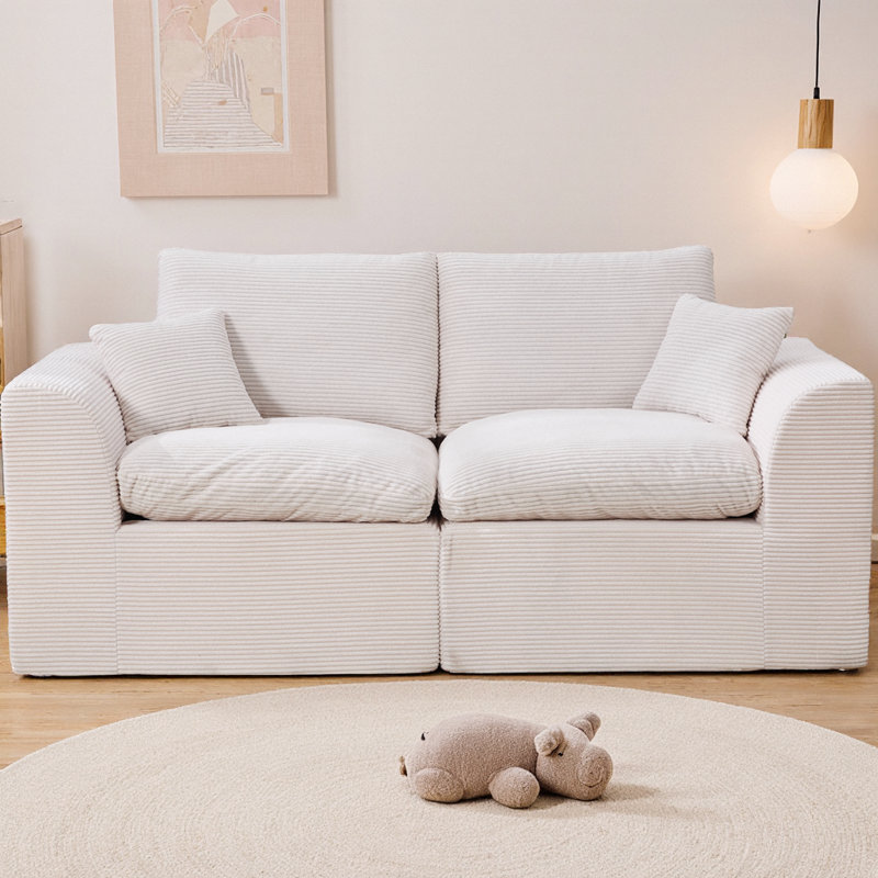 Canapé modulaire modulaire à 2 places avec housses de coussin amovibles, canapé en velours côtelé doux sans assemblage, mobilier de salon moderne