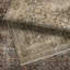 Clemente Oriental Machine Woven Polypropylene Area Rug in Tan/Taupe-1425526390