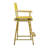 24" Folding Director Chair-29340602-19623356