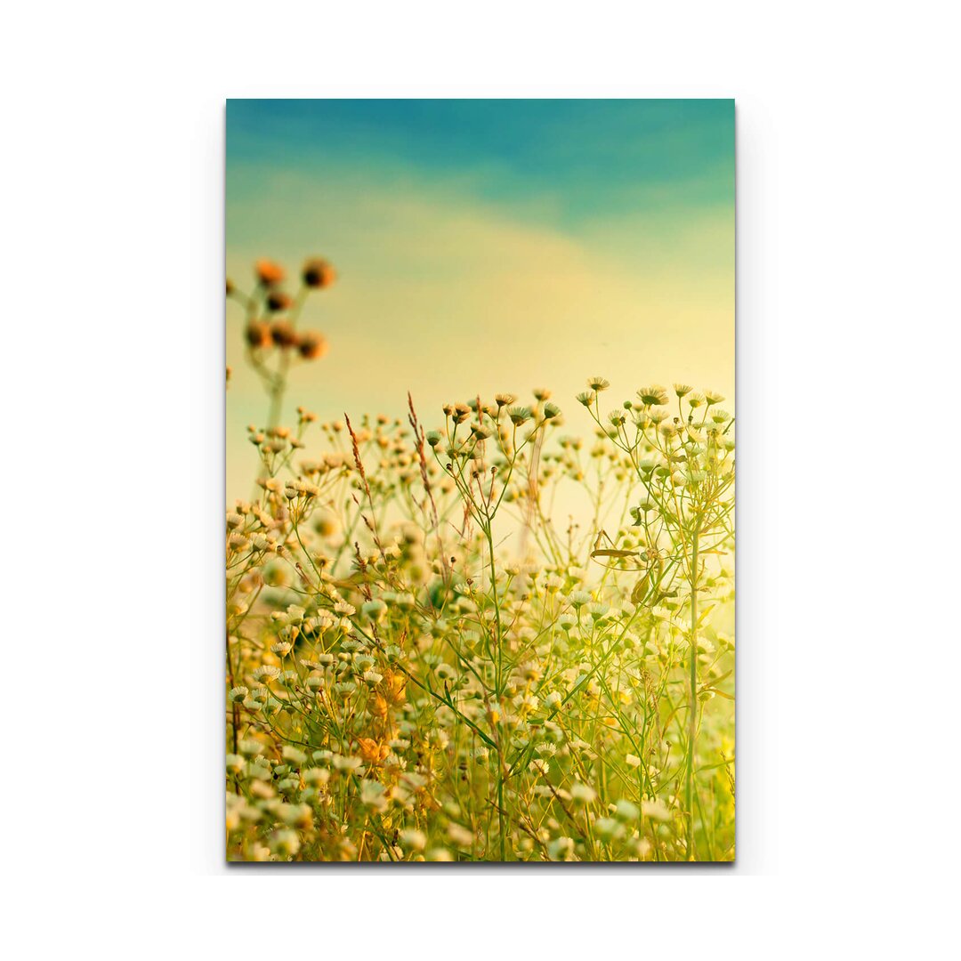 Leinwandbild Herbstliche Blumenwiese im Sonnenschein