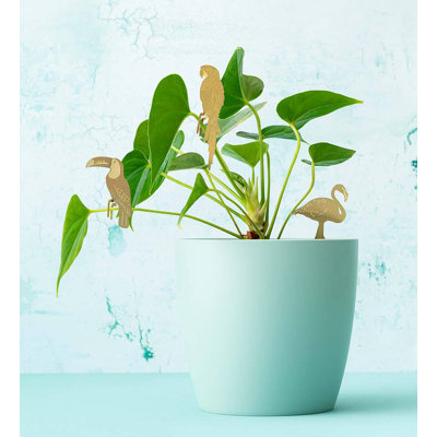 Brass Tropical Birds Plant Pals