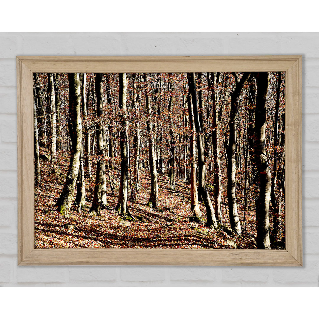 Woodland Beauty - Einzelner Bilderrahmen Kunstdrucke