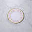 Vida Melamine Dinner Plate