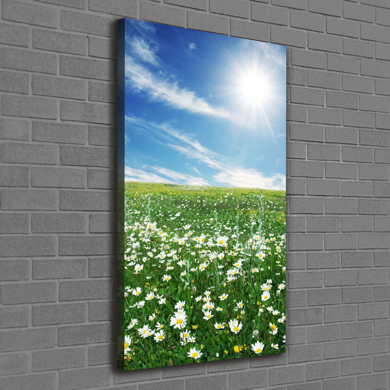 Meadow - Wrapped Canvas Print