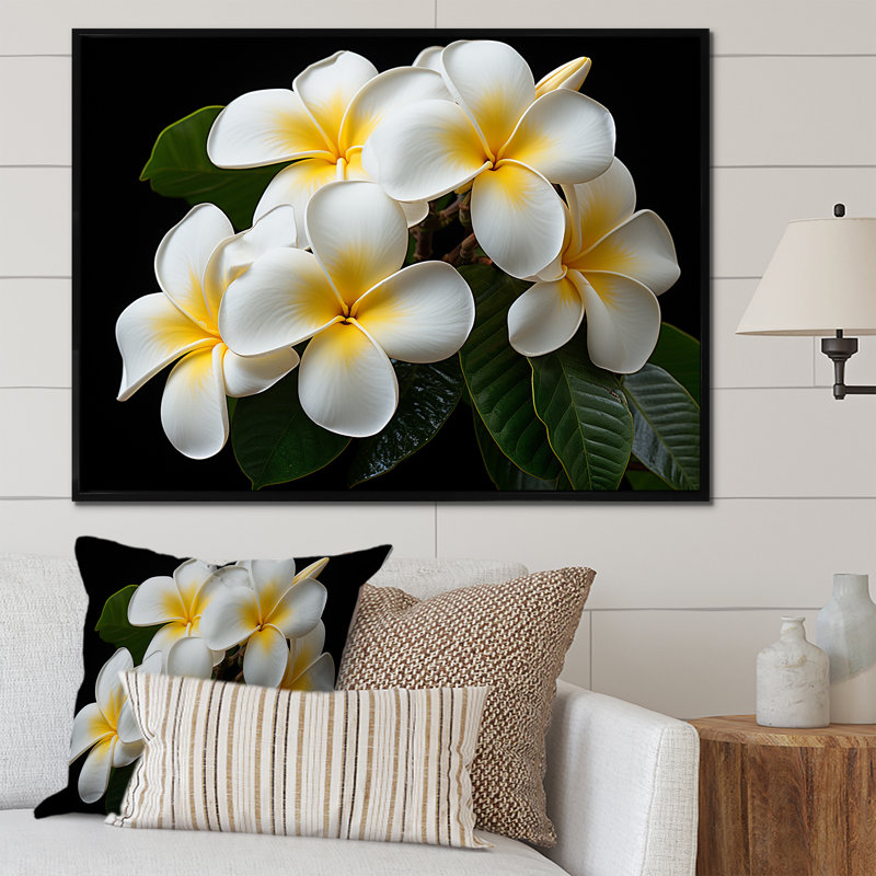 Blanc pureté de Plumeria Essence florale I - art mural Plumeria, Cadre flottant noir, H 34 po x l 44 po x P 1,5 po