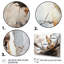 Brown Squirrel Curious Observer III - Animals Canvas Wall Art-1729188764-1729188760