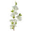 Plastic, Silk Artificial Arrangement