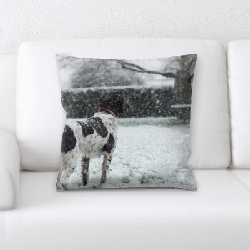 Coussin décoratif Landrum