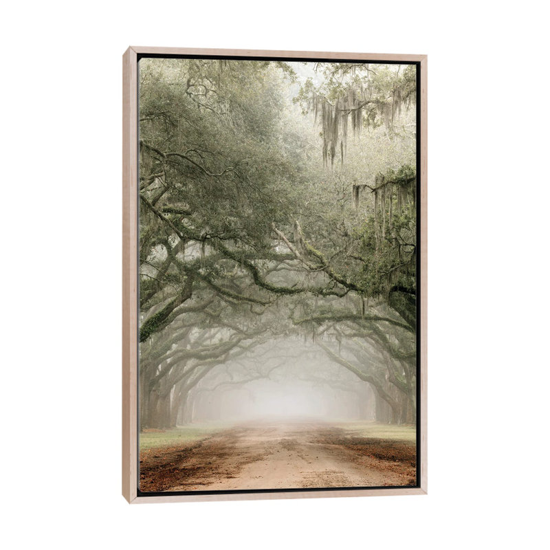 Plantation Drive, Natural Wood Floater Framed Canvas, 26" H x 18" W x 1.5" D