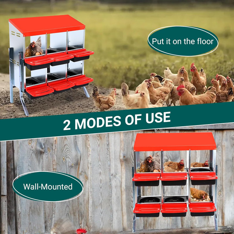 Boîte de nidification pour poulets, 8 compartiments avec poulets