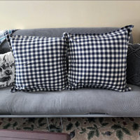 Square Euro Throw Pillow Inserts for Decorative Pillow Looms & Linens (Set of 2) Looms & Linens Size: 16H x 16W