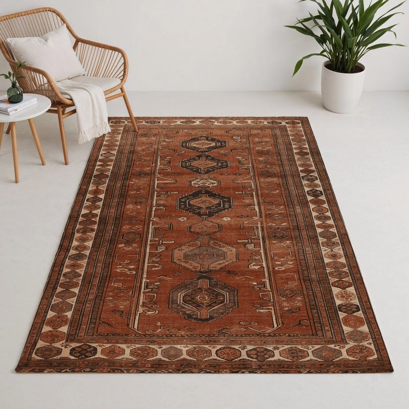 Turkish Brown Indoor and Outdoor Area Rug, Rectangle 3' x 5'