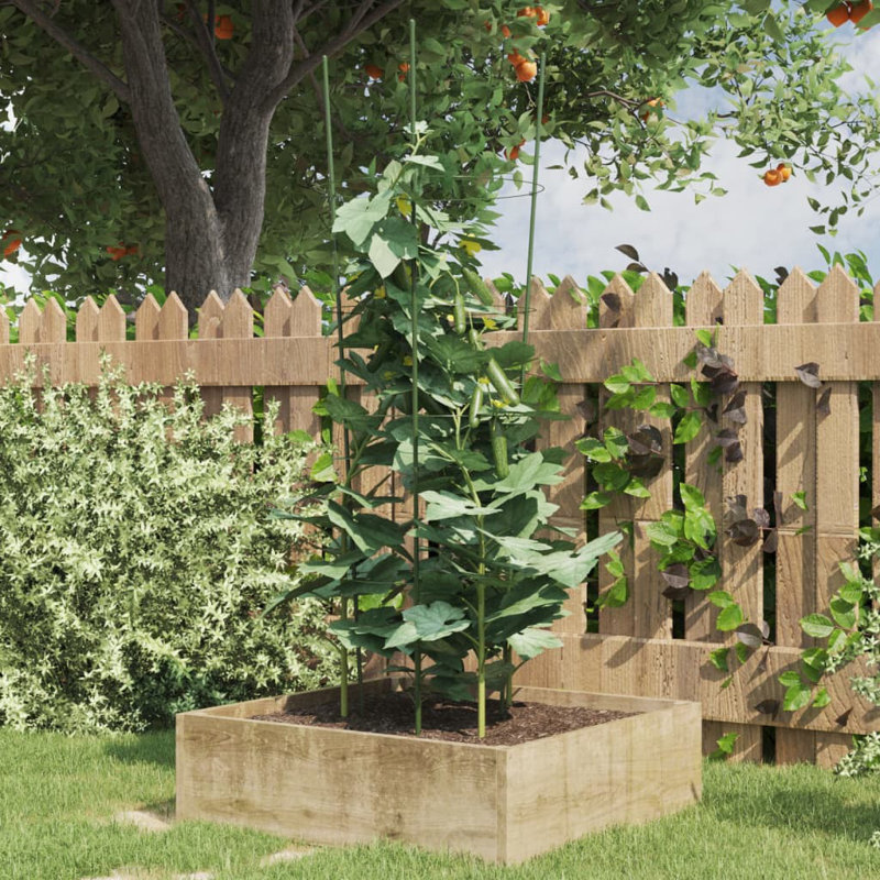 Winston Porter Garden Plant Supports With 4 Rings 5 Pcs 35.4" Steel