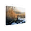 «Pheasant» par Armstrong, impression sur toile tendue-27646185