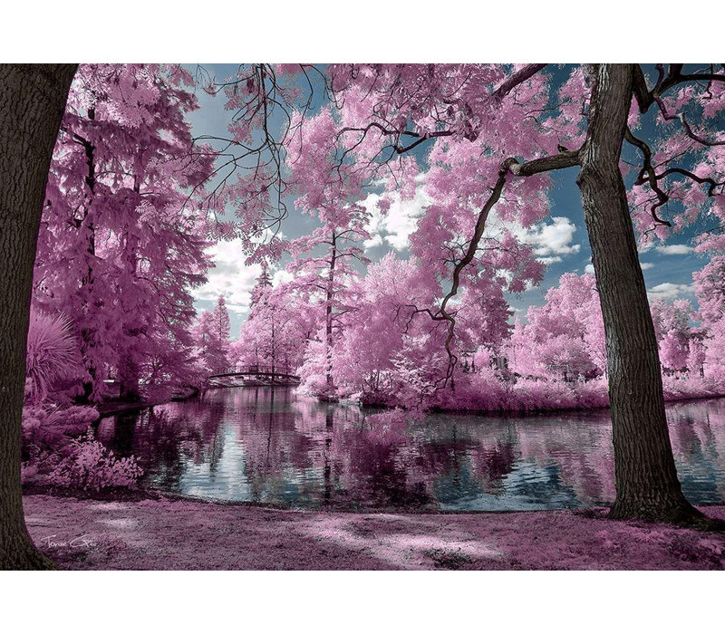«Latitude Run® Gee», art sur toile tendue par Tonee Gallery: parc de Bordeaux, photographie infrarouge, H 18 po x l 24 po