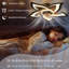 Ceiling Fan with LED Lights