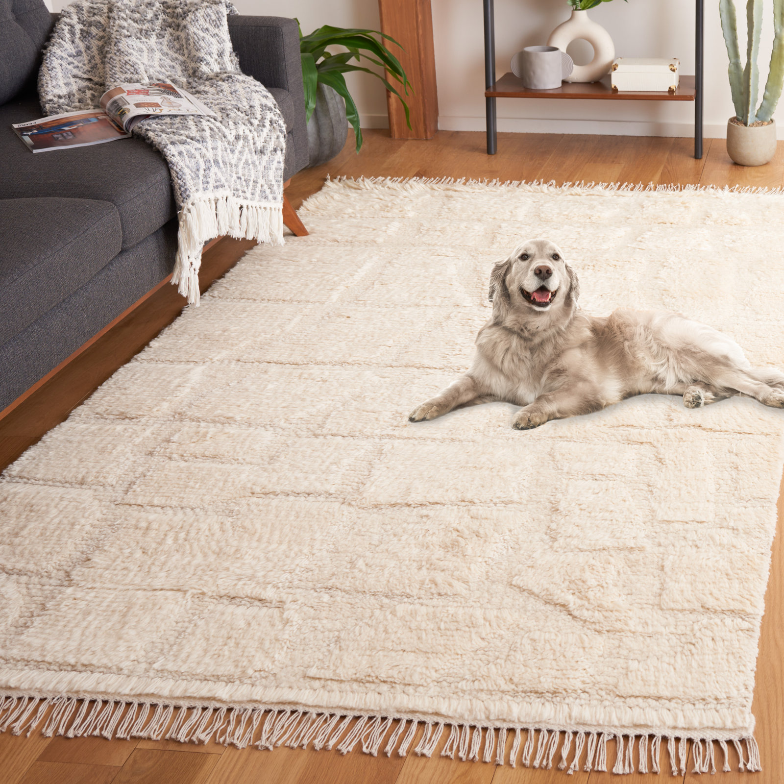 Azreal Ivory Hand-Woven Wool Rug, Rectangle 8' x 10'
