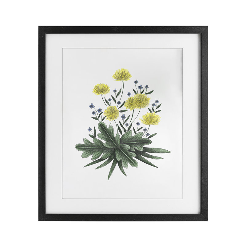 «Dandelion Flower Illustration», reproduction encadrée sous verre, conception de Cecilia Battaini, H 16 po x l 13 po