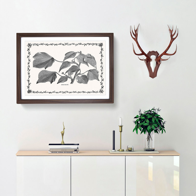 The Ivy Melanocarpa by Shirley Hibberd - Picture Frame Painting Print, 62cm H x 87cm W x 2cm D, Walnut Framed