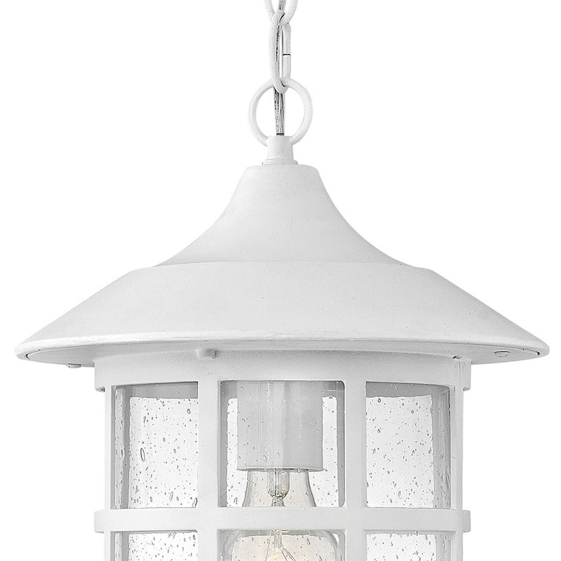 Freeport 1 Light Outdoor Hanging Lantern, Classic White, Medium, Clear Seedy